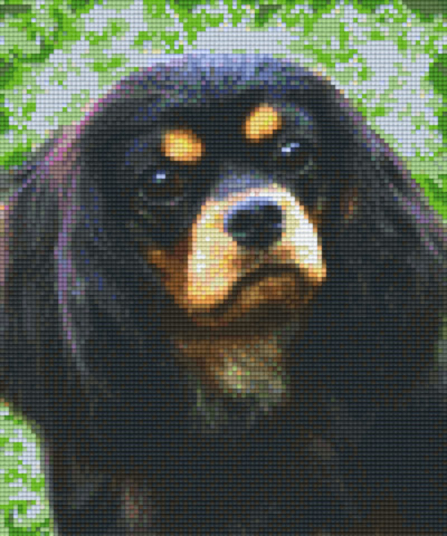 King Charles Spaniel A Six [6] Baseplate PixleHobby Mini-mosaic Art Kits image 0